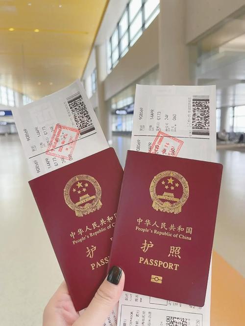 行游天下自驾游护照官网是什么？-第1张图片-星月文旅