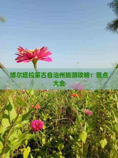 博尔塔拉蒙古自治州旅游有哪些必打卡景点?-第1张图片-星月文旅 博尔塔拉蒙古自治州旅游有哪些必打卡景点?-第1张图片-星月文旅