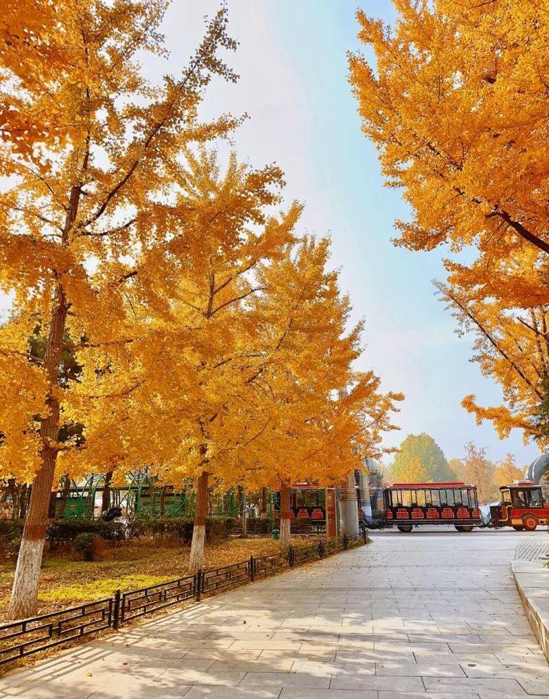 北京大兴区旅游景点大全排名,哪些最值得去?-第2张图片-星月文旅 北京大兴区旅游景点大全排名,哪些最值得去?-第2张图片-星月文旅