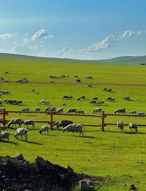 西安到呼伦贝尔草原怎么玩最省心？-第3张图片-星月文旅