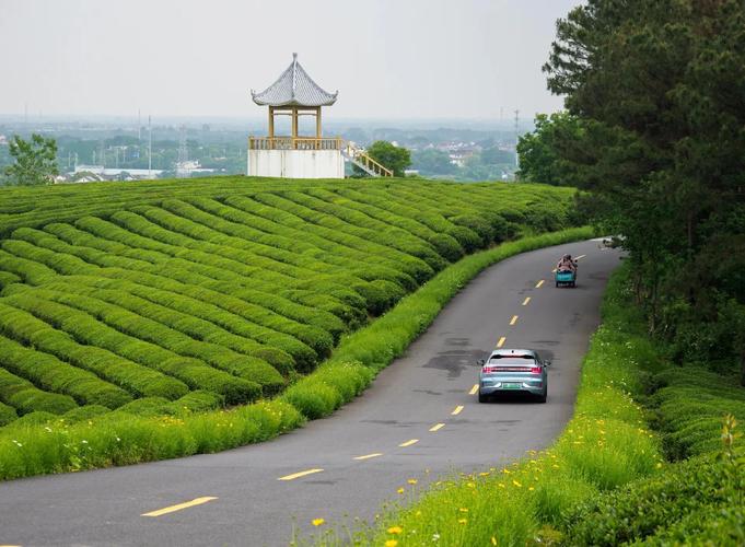 南京周边200公里自驾游,哪条路线最值得去?-第2张图片-星月文旅 南京周边200公里自驾游,哪条路线最值得去?-第2张图片-星月文旅