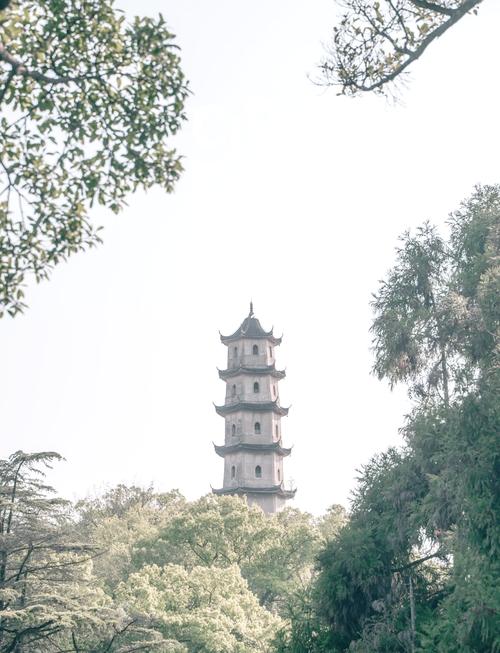 江心屿是温州必去景点？攻略亮点有哪些？-第3张图片-星月文旅