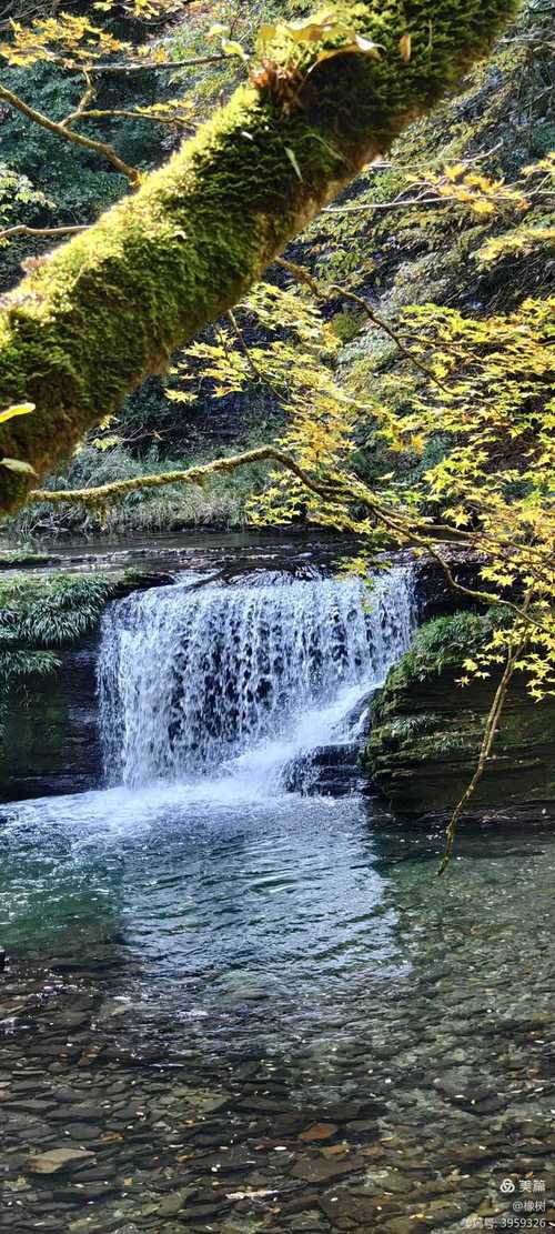 汉中自驾游去哪玩?周边这些地方别错过!-第2张图片-星月文旅 汉中自驾游去哪玩?周边这些地方别错过!-第2张图片-星月文旅