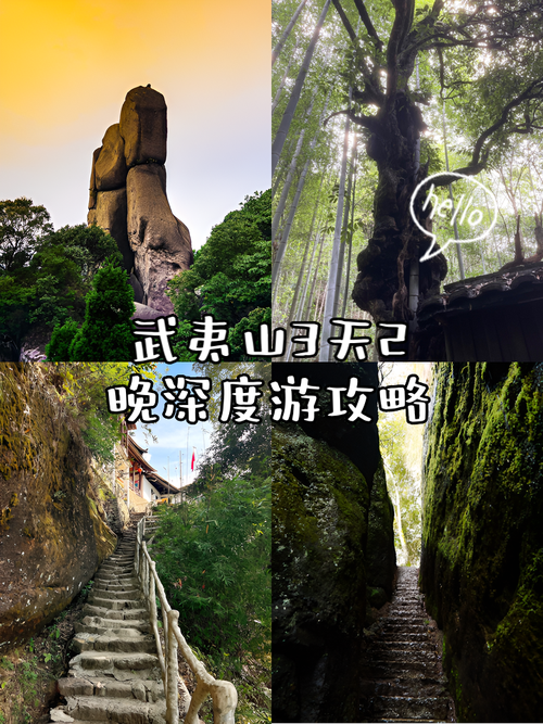 武夷山三日游人均费用多少?-第3张图片-星月文旅 武夷山三日游人均费用多少?-第3张图片-星月文旅