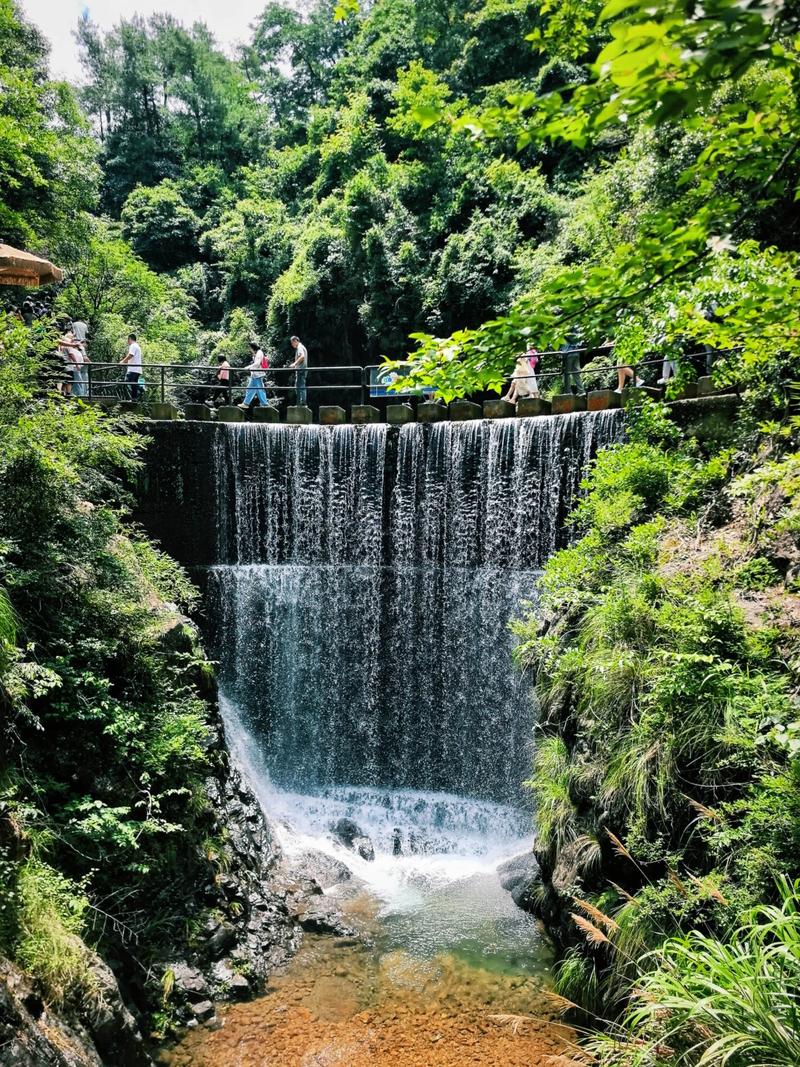 大奇山国家森林公园旅游攻略-第1张图片-星月文旅 大奇山国家森林公园旅游攻略-第1张图片-星月文旅