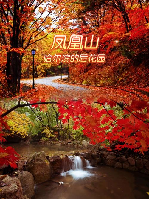 哈尔滨五常凤凰山旅游攻略-第1张图片-星月文旅 哈尔滨五常凤凰山旅游攻略-第1张图片-星月文旅