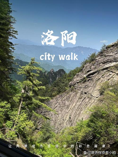 洛阳附近一日游自驾游,哪些景点最值得去?-第3张图片-星月文旅 洛阳附近一日游自驾游,哪些景点最值得去?-第3张图片-星月文旅