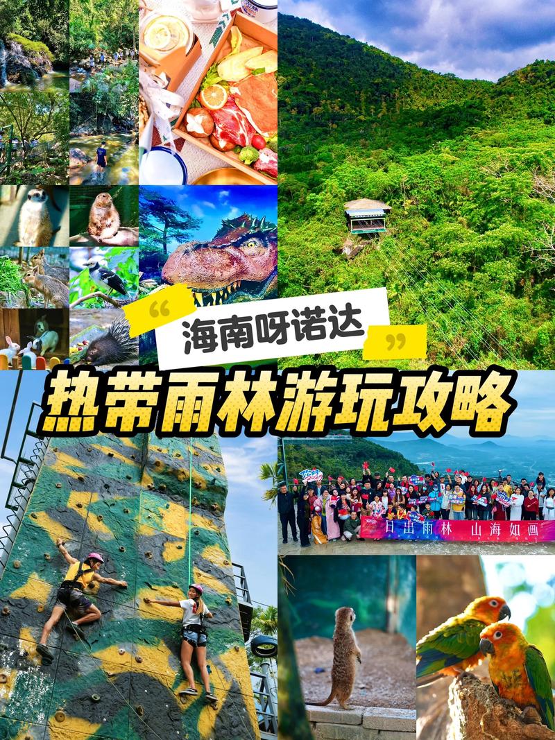 呀诺达雨林攻略，怎么玩最省时省力？-第2张图片-星月文旅