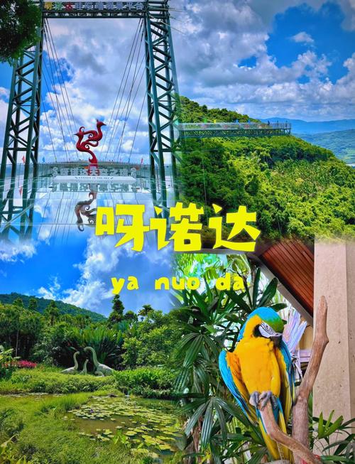 呀诺达雨林攻略,怎么玩最省时省力?-第1张图片-星月文旅 呀诺达雨林攻略,怎么玩最省时省力?-第1张图片-星月文旅