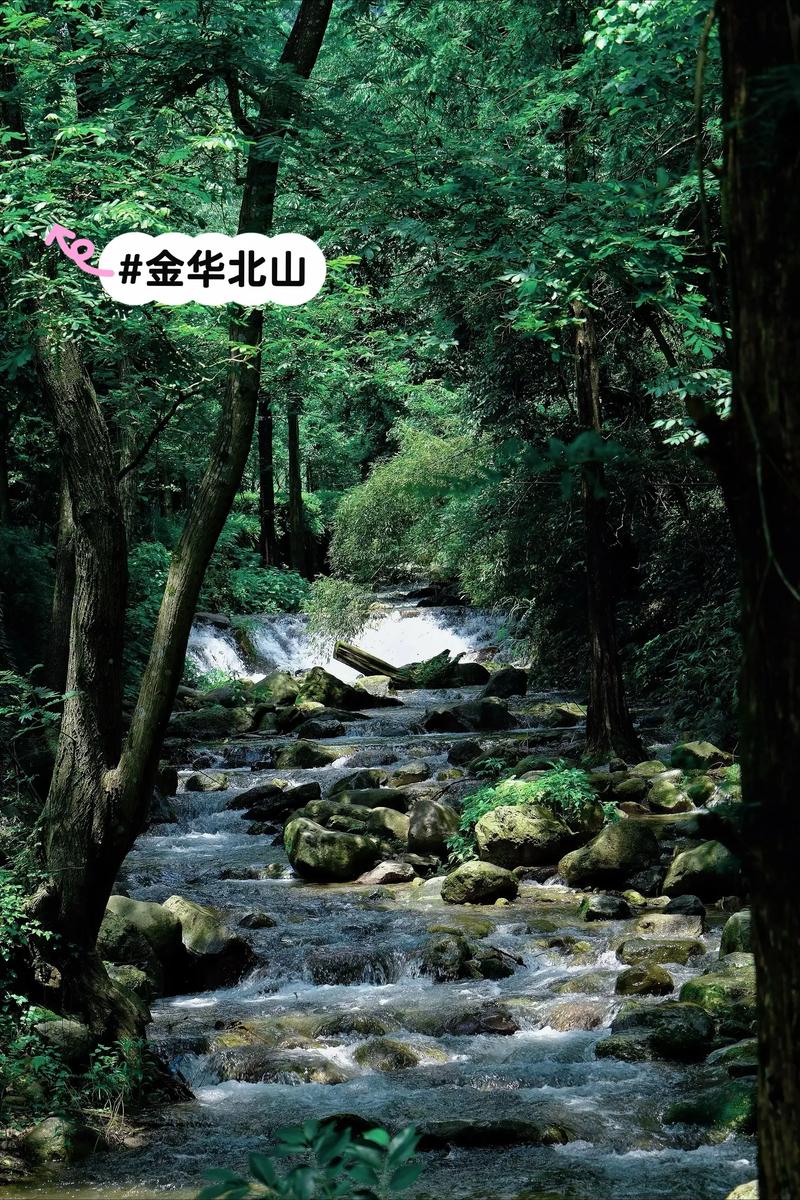 浙江金华周边有哪些值得一游的景点?-第3张图片-星月文旅 浙江金华周边有哪些值得一游的景点?-第3张图片-星月文旅