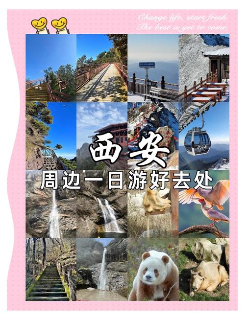 附近哪处景点好玩又值得一去？-第3张图片-星月文旅