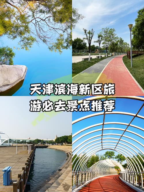天津滨海新区旅游景点有哪些-第2张图片-星月文旅