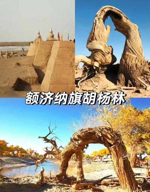 额济纳胡杨林自驾怎么玩？攻略精华有哪些？-第3张图片-星月文旅