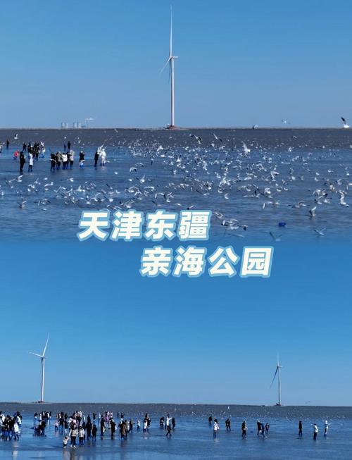 天津周边200公里自驾游,有哪些必去小众地?-第1张图片-星月文旅 天津周边200公里自驾游,有哪些必去小众地?-第1张图片-星月文旅