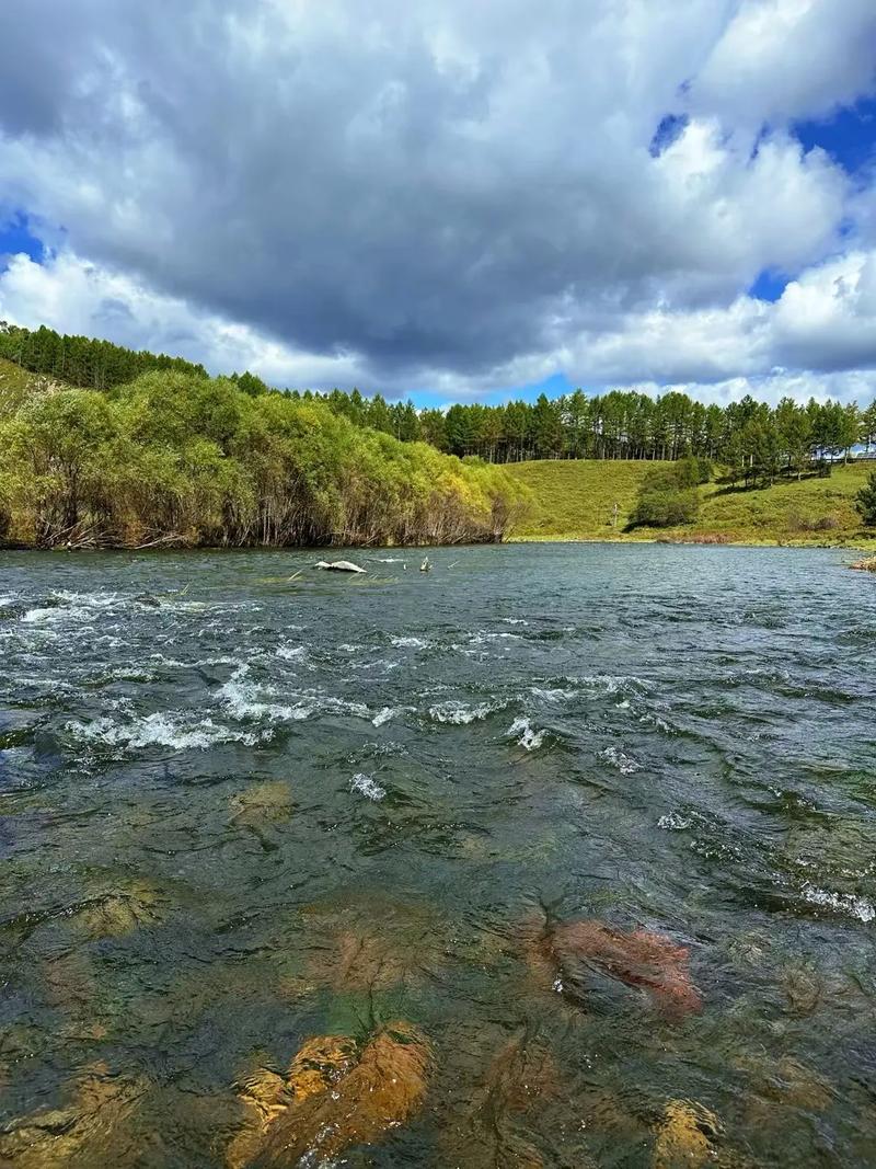 长春到阿尔山自驾游,路线怎么规划最省心?-第1张图片-星月文旅 长春到阿尔山自驾游,路线怎么规划最省心?-第1张图片-星月文旅