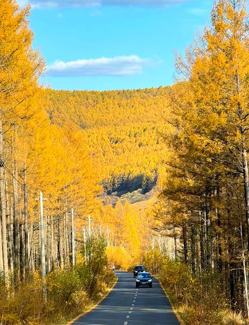 长春到阿尔山自驾游，路线怎么规划最省心？-第3张图片-星月文旅