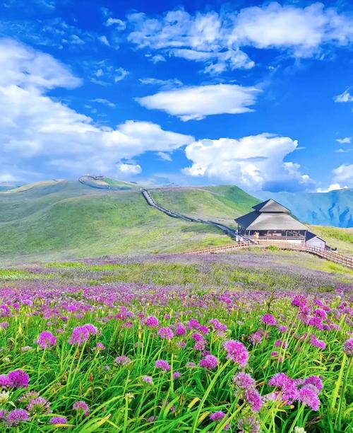 贵州毕节必游景点有哪些？-第3张图片-星月文旅