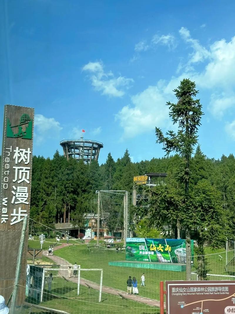 重庆自驾游10天路线怎么安排？-第2张图片-星月文旅