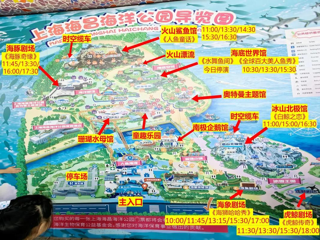 上海海昌海洋公园旅游攻略-第3张图片-星月文旅