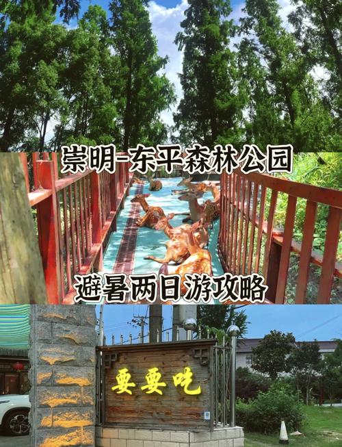 东平国家森林公园旅游攻略-第1张图片-星月文旅