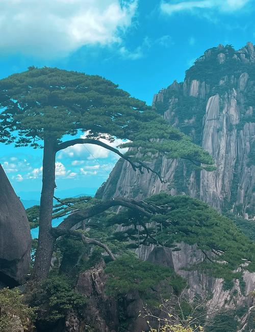 黄山周边必去景点有哪些?-第3张图片-星月文旅 黄山周边必去景点有哪些?-第3张图片-星月文旅