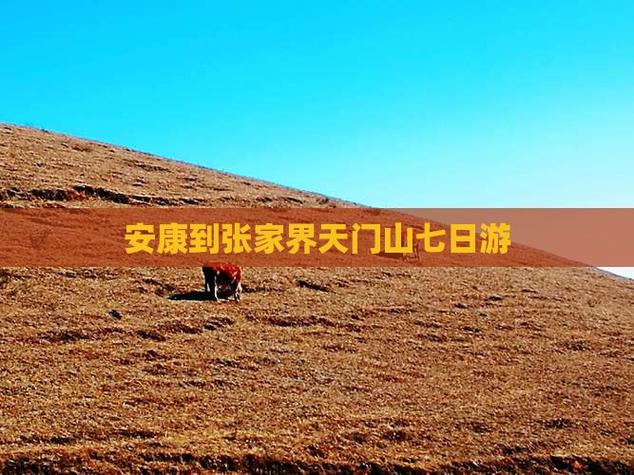 安康到张家界自驾游攻略-第1张图片-星月文旅 安康到张家界自驾游攻略-第1张图片-星月文旅