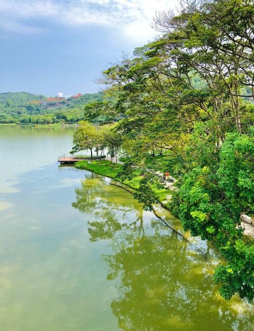 中山顺德必去景点有哪些?-第1张图片-星月文旅 中山顺德必去景点有哪些?-第1张图片-星月文旅