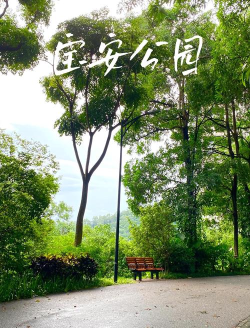 深圳宝安有哪些必打卡景点?-第3张图片-星月文旅 深圳宝安有哪些必打卡景点?-第3张图片-星月文旅