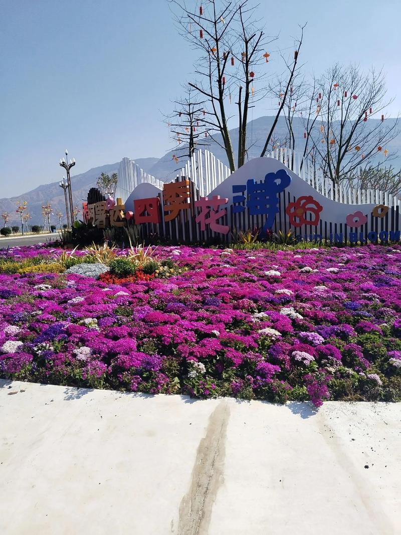 攀枝花附近有哪些旅游景点-第1张图片-星月文旅