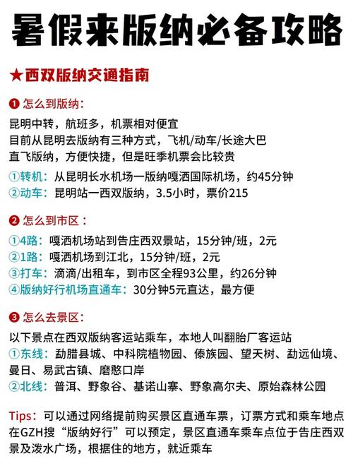 西双版纳自驾游注意事项-第1张图片-星月文旅