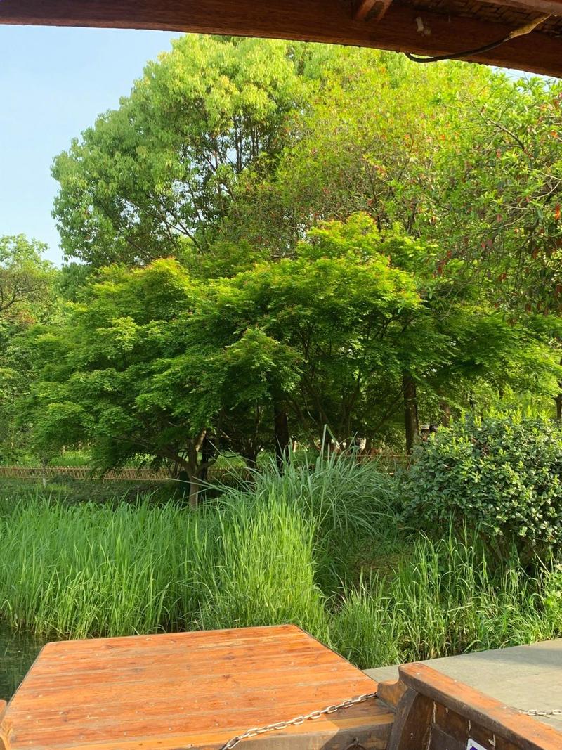 杭州哪里有好玩的旅游景点-第2张图片-星月文旅 杭州哪里有好玩的旅游景点-第2张图片-星月文旅