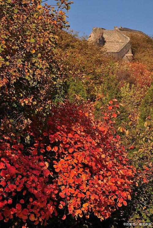 朝阳大黑山怎么玩?必打卡景点有哪些?-第3张图片-星月文旅 朝阳大黑山怎么玩?必打卡景点有哪些?-第3张图片-星月文旅