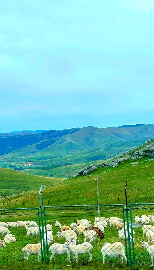 呼和浩特周边自驾游有哪些好去处?-第3张图片-星月文旅 呼和浩特周边自驾游有哪些好去处?-第3张图片-星月文旅