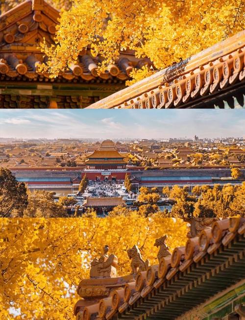 秋天北京必去景点有哪些？-第2张图片-星月文旅