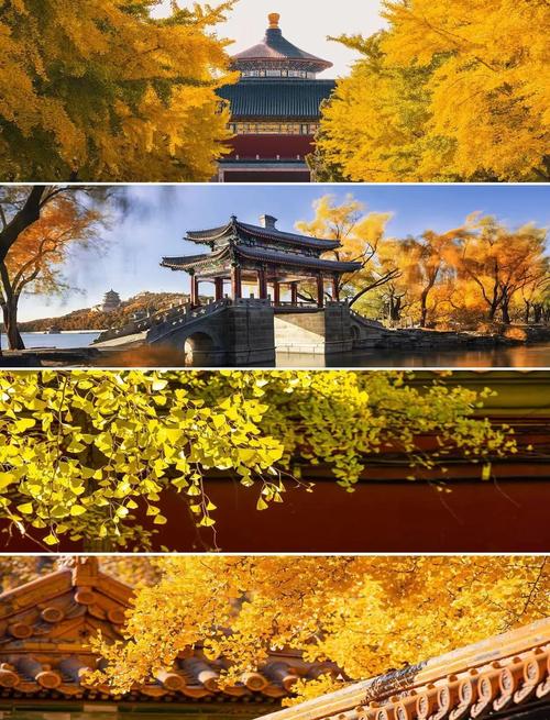秋天北京必去景点有哪些?-第1张图片-星月文旅 秋天北京必去景点有哪些?-第1张图片-星月文旅