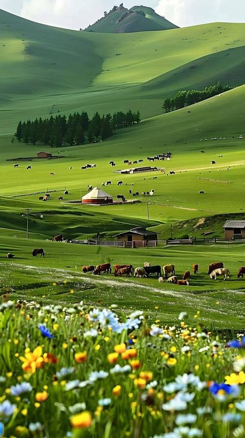 内蒙古大草原旅游景点图片-第3张图片-星月文旅 内蒙古大草原旅游景点图片-第3张图片-星月文旅
