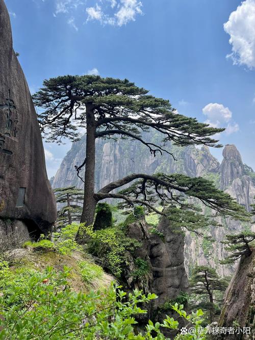 黄山市附近的旅游景点大全-第2张图片-星月文旅