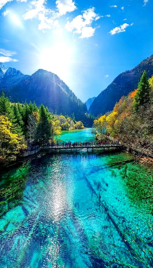 九寨沟原始森林自驾游怎么安排？-第1张图片-星月文旅