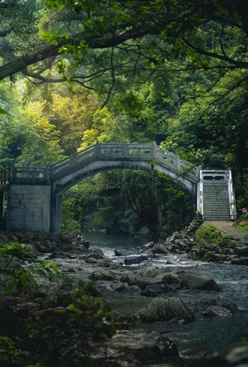 石门国家森林公园怎么玩最尽兴？-第2张图片-星月文旅