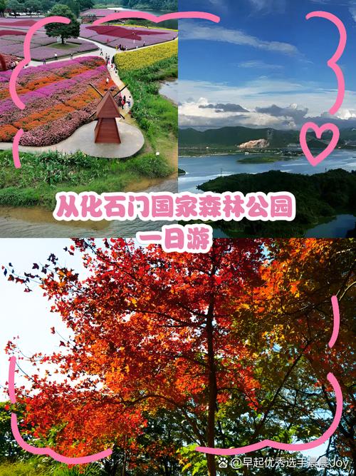 石门国家森林公园怎么玩最尽兴？-第3张图片-星月文旅