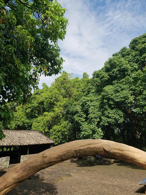 海口有哪些值得一玩的旅游景点?-第3张图片-星月文旅 海口有哪些值得一玩的旅游景点?-第3张图片-星月文旅