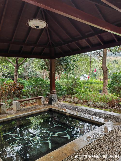 中家鑫园温泉自驾游团购怎么买最划算?-第2张图片-星月文旅 中家鑫园温泉自驾游团购怎么买最划算?-第2张图片-星月文旅