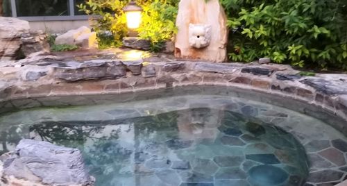 中家鑫园温泉自驾游团购怎么买最划算?-第3张图片-星月文旅 中家鑫园温泉自驾游团购怎么买最划算?-第3张图片-星月文旅