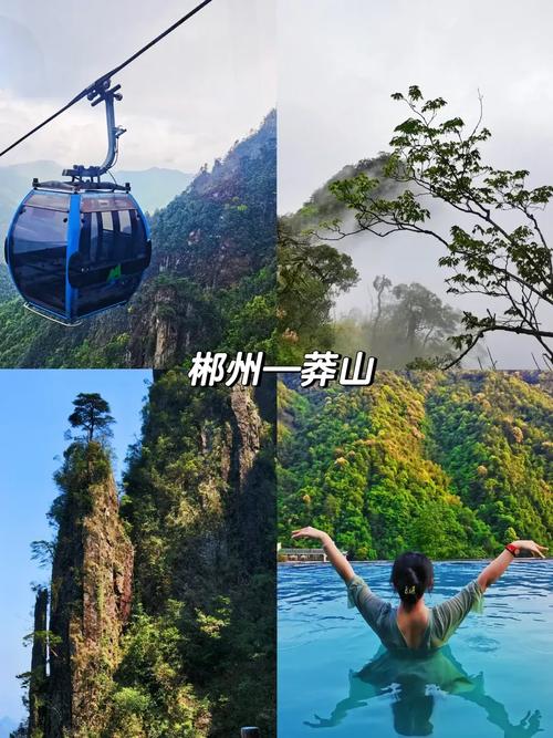 莽山国家森林公园怎么玩最尽兴?-第3张图片-星月文旅 莽山国家森林公园怎么玩最尽兴?-第3张图片-星月文旅