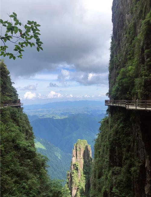 莽山国家森林公园怎么玩最尽兴?-第1张图片-星月文旅 莽山国家森林公园怎么玩最尽兴?-第1张图片-星月文旅