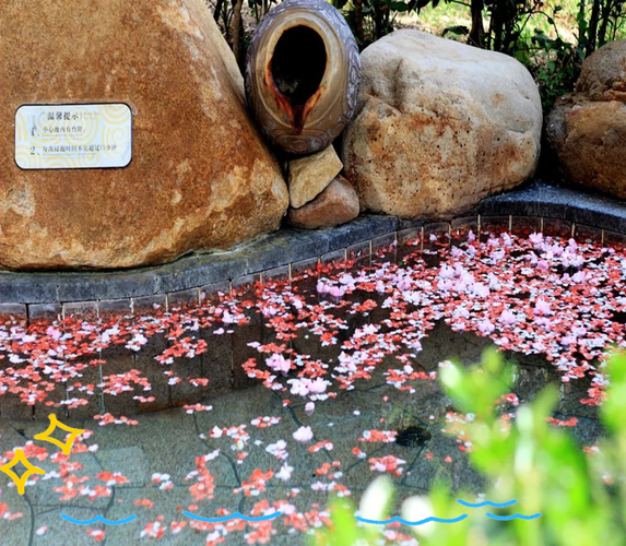 威海汤泊温泉自驾游两日怎么安排?-第1张图片-星月文旅 威海汤泊温泉自驾游两日怎么安排?-第1张图片-星月文旅