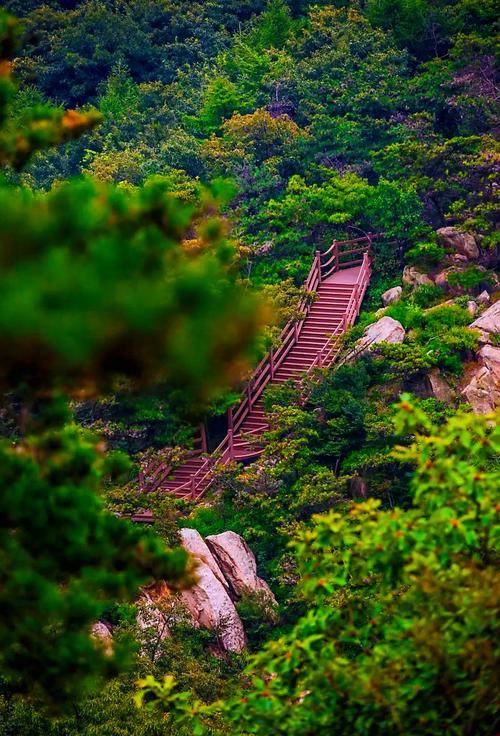 临沂附近有哪些必游景点?-第1张图片-星月文旅 临沂附近有哪些必游景点?-第1张图片-星月文旅