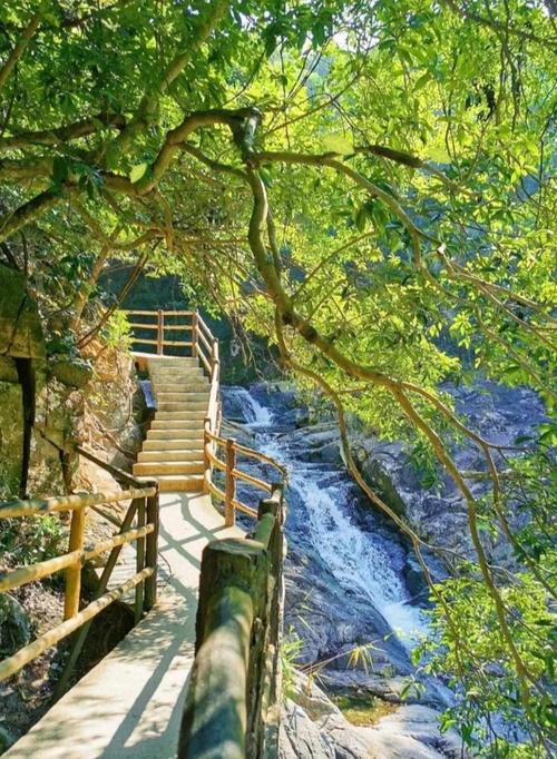 深圳有哪些必打卡的旅游景点?-第3张图片-星月文旅 深圳有哪些必打卡的旅游景点?-第3张图片-星月文旅