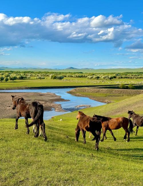 呼伦贝尔必去景点有哪些？-第2张图片-星月文旅