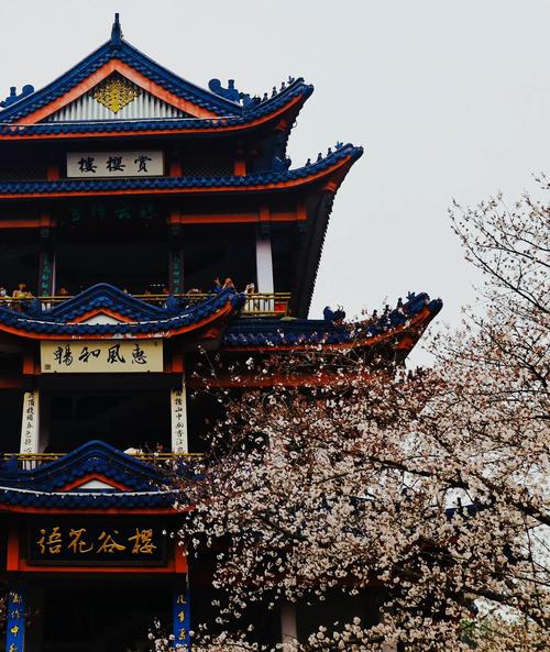 无锡必去景点有哪些?-第1张图片-星月文旅 无锡必去景点有哪些?-第1张图片-星月文旅